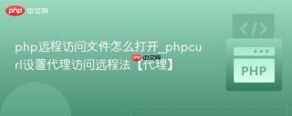php远程访问文件怎么打开_phpcurl设置代理访问远程法【代理】