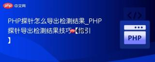 PHP探针怎么导出检测结果_PHP探针导出检测结果技巧【指引】