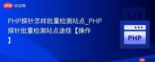 PHP探针怎样批量检测站点_PHP探针批量检测站点途径【操作】