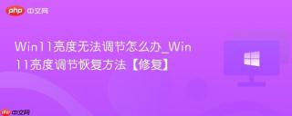 Win11亮度无法调节怎么办_Win11亮度调节恢复方法【修复】