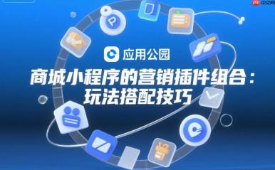商城小程序的营销插件组合,玩法搭配技巧!
