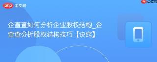 企查查如何分析企业股权结构_企查查分析股权结构技巧【诀窍】