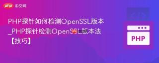 PHP探针如何检测OpenSSL版本_PHP探针检测OpenSSL版本法【技巧】