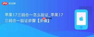 苹果17三码合一怎么验证_苹果17三码合一验证步骤【步骤】