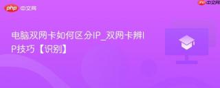 电脑双网卡如何区分ip_双网卡辨ip技巧【识别】