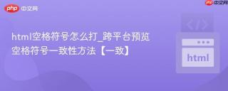 html空格符号怎么打_跨平台预览空格符号一致性方法【一致】