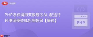 PHP怎样调用天数智芯AI_配运行环境调模型批处理数据【捷径】