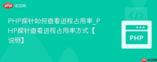 PHP探针如何查看进程占用率_PHP探针查看进程占用率方式【说明】