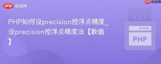 PHP如何设precision控浮点精度_设precision控浮点精度法【数值】