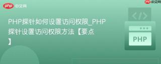 PHP探针如何设置访问权限_PHP探针设置访问权限方法【要点】