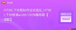 HTML下拉框如何设自适应_HTML下拉框调width100%随容器【适配】