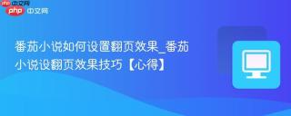 番茄小说如何设置翻页效果_番茄小说设翻页效果技巧【心得】