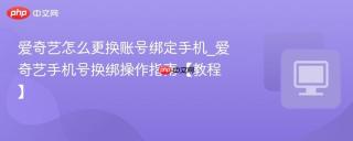 爱奇艺怎么更换账号绑定手机_爱奇艺手机号换绑操作指南【教程】