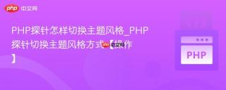 PHP探针怎样切换主题风格_PHP探针切换主题风格方式【操作】
