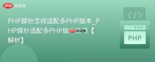 php探针怎样适配多php版本_php探针适配多php版本技巧【解析】