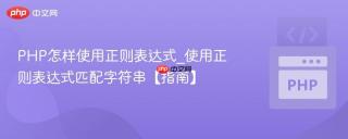 PHP怎样使用正则表达式_使用正则表达式匹配字符串【指南】