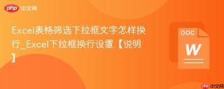 Excel表格筛选下拉框文字怎样换行_Excel下拉框换行设置【说明】