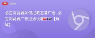 必应浏览器如何拦截恶意广告_必应浏览器广告过滤设置方法【详解】