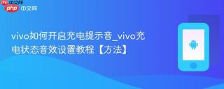 vivo如何开启充电提示音_vivo充电状态音效设置教程【方法】
