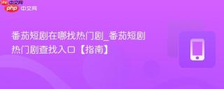番茄短剧在哪找热门剧_番茄短剧热门剧查找入口【指南】