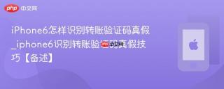 iPhone6怎样识别转账验证码真假_iphone6识别转账验证码真假技巧【备述】