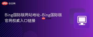 Bing国际版网站地址-Bing国际版官网权威入口链接