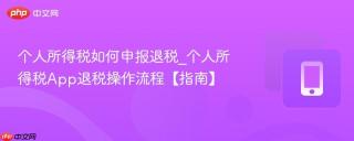 个人所得税如何申报退税_个人所得税App退税操作流程【指南】
