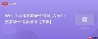 Win11怎样查看硬件信息_Win11查看硬件信息途径【步骤】