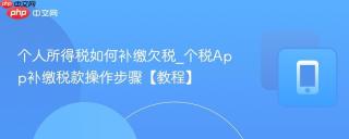 个人所得税如何补缴欠税_个税App补缴税款操作步骤【教程】