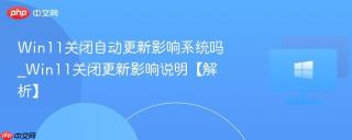 Win11关闭自动更新影响系统吗_Win11关闭更新影响说明【解析】