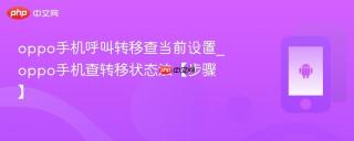 oppo手机呼叫转移查当前设置_oppo手机查转移状态法【步骤】