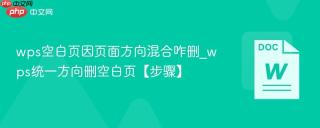 wps空白页因页面方向混合咋删_wps统一方向删空白页【步骤】