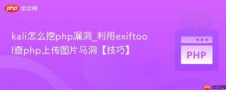 kali怎么挖php漏洞_利用exiftool查php上传图片马洞【技巧】