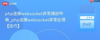 php连接websocket异常捕获咋做_php连接websocket异常处理【技巧】