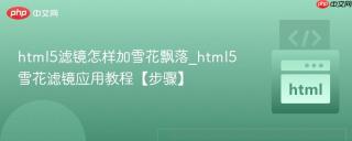 html5滤镜怎样加雪花飘落_html5雪花滤镜应用教程【步骤】