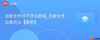 加密文件打不开忘密码_忘密文件应急开法【救密】