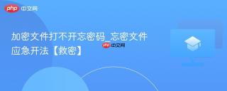 加密文件打不开忘密码_忘密文件应急开法【救密】