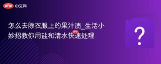 怎么去除衣服上的果汁渍_生活小妙招教你用盐和清水快速处理