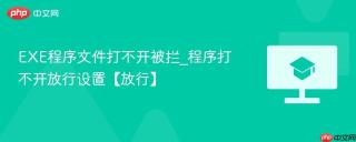 EXE程序文件打不开被拦_程序打不开放行设置【放行】
