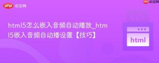 html5怎么嵌入音频自动播放_html5嵌入音频自动播设置【技巧】