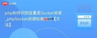 php如何识别变量是Socket资源_phpSocket资源检测技巧【方法】
