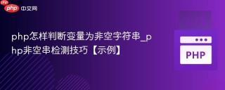 php怎样判断变量为非空字符串_php非空串检测技巧【示例】