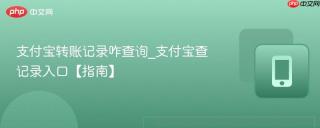 支付宝转账记录咋查询_支付宝查记录入口【指南】