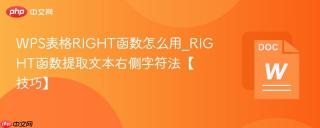 WPS表格RIGHT函数怎么用_RIGHT函数提取文本右侧字符法【技巧】