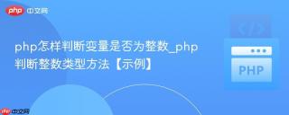 php怎样判断变量是否为整数_php判断整数类型方法【示例】