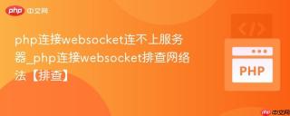 php连接websocket连不上服务器_php连接websocket排查网络法【排查】