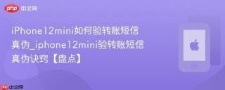 iPhone12mini如何验转账短信真伪_iphone12mini验转账短信真伪诀窍【盘点】