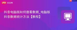 抖音电脑版如何查看数据_电脑版抖音数据统计方法【教程】