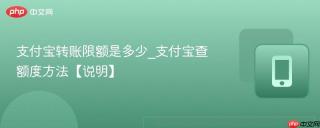 支付宝转账限额是多少_支付宝查额度方法【说明】