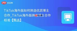 TikTok海外版如何筛选优质博主合作_TikTok海外版筛选博主合作标准【甄选】
